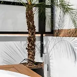 Pj Terraza Privada Banera Exterior Junto Catedral